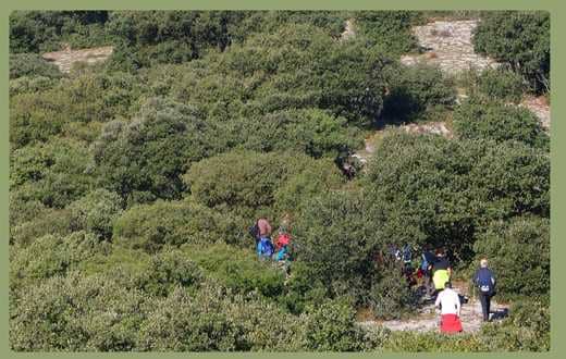 El bosque Nanclares